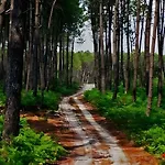 Casa vacanze Bassin D'arcachon Gujan-Mestras