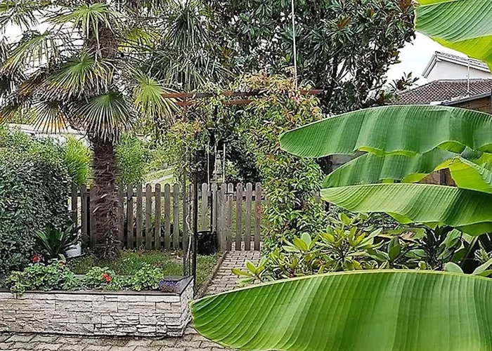 Bassin D'arcachon غوجان-ميستراس
