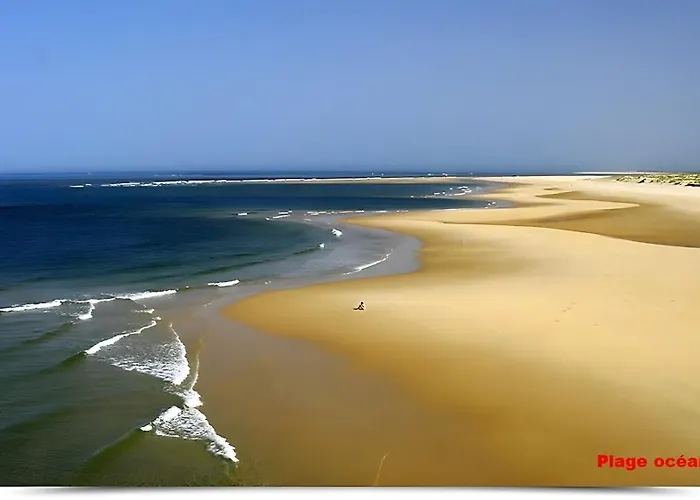 Bassin D'arcachon *