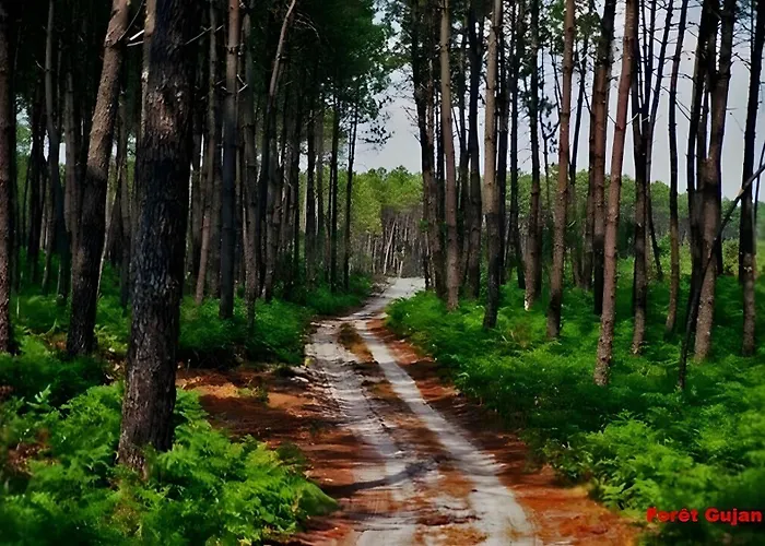 بيت للعطل Bassin D'arcachon غوجان-ميستراس