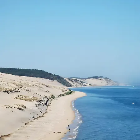 Bassin D'arcachon