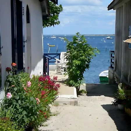Bassin D'arcachon *