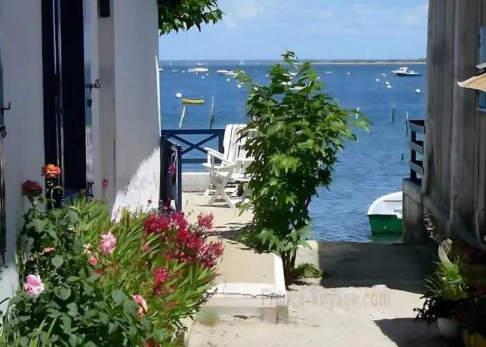 Bassin D'arcachon Semesterbostad Gujan-Mestras